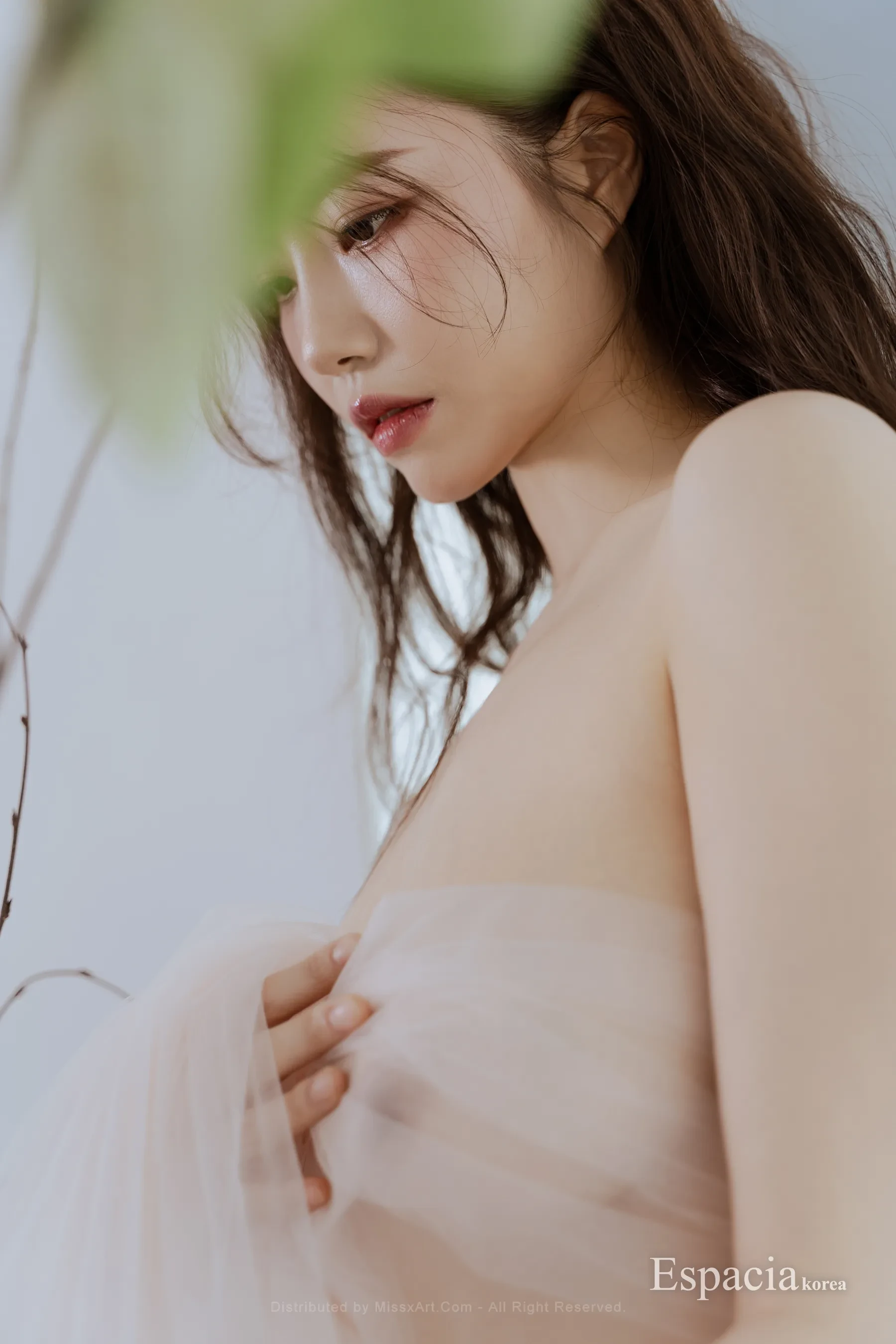 Espacia Korea (41)