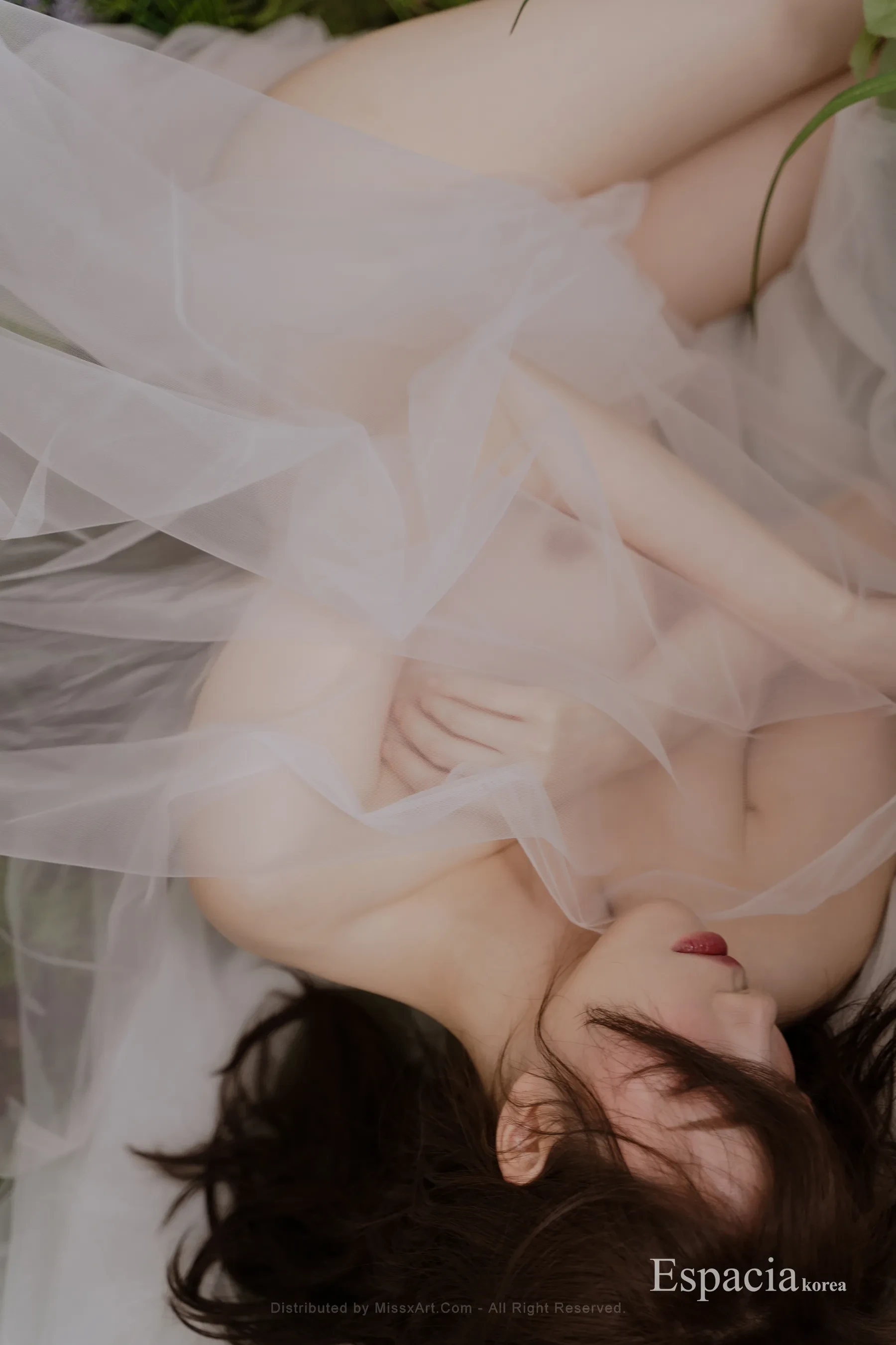 Espacia Korea (46)
