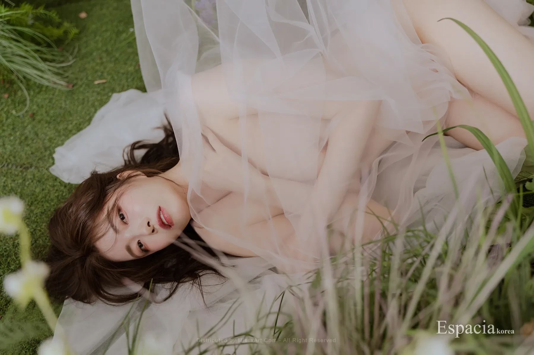 Espacia Korea (49)